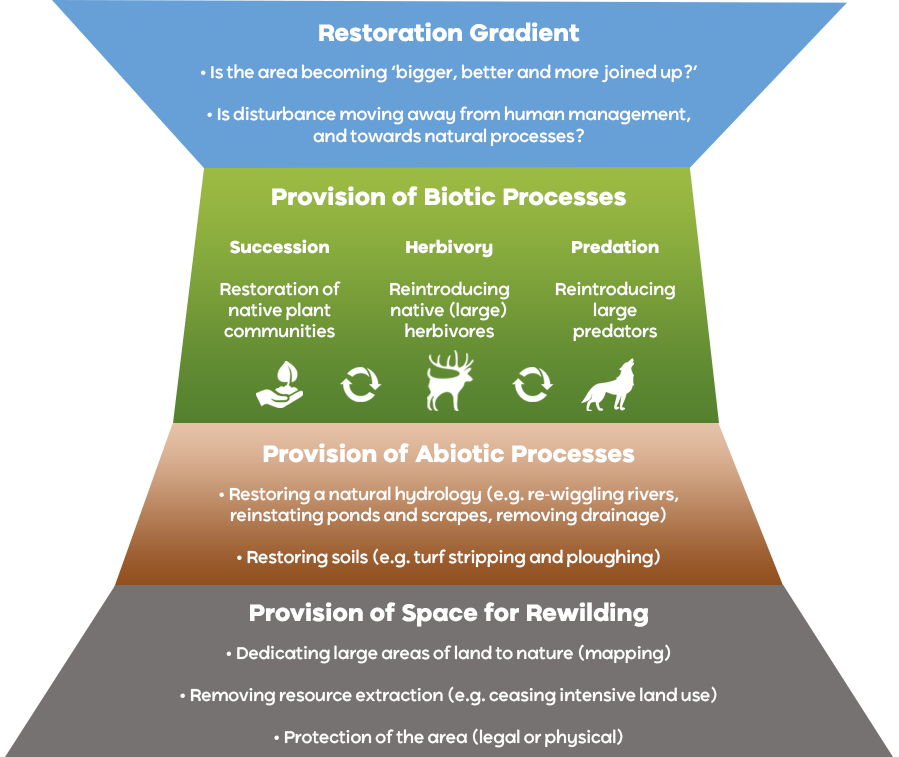 Services - Celtic Rewilding