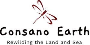 Consano-Earth