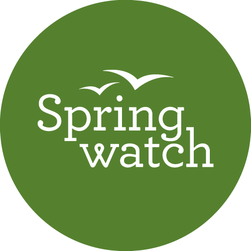 Spring Watch